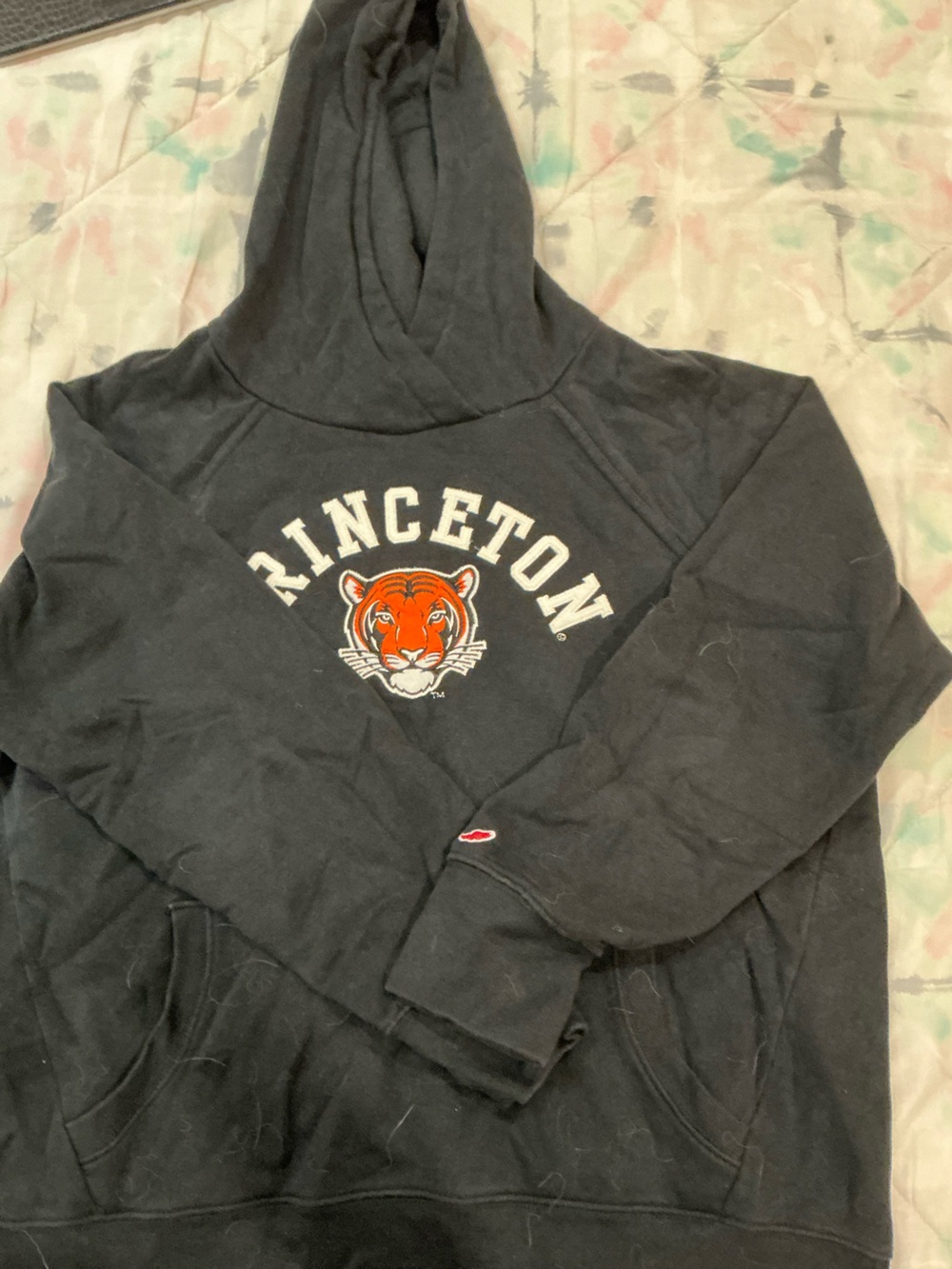 Princeton University Black Pullover Sweatshirt with Subtle Label Detail